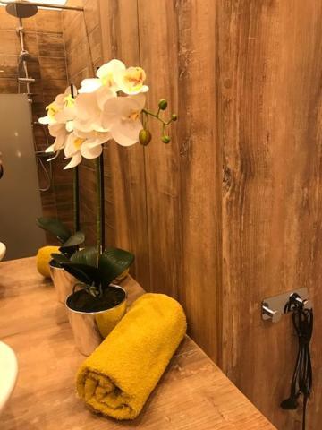 Apartament Gosia Nysa Buitenkant foto