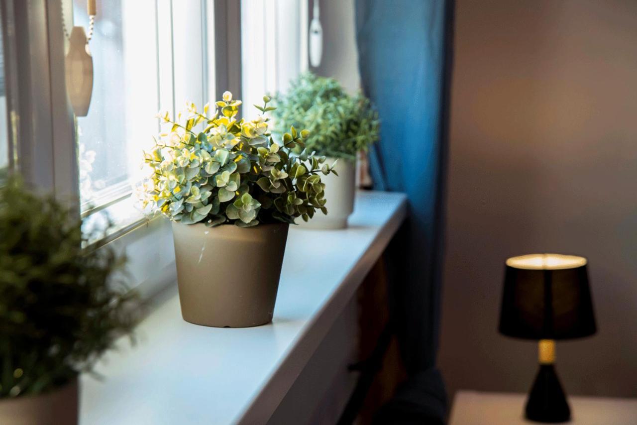 Apartament Gosia Nysa Buitenkant foto